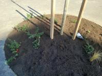 Imagine atasata: 20260227_132008.jpg